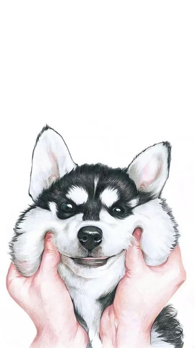 Topcoder profile picture for @gourd